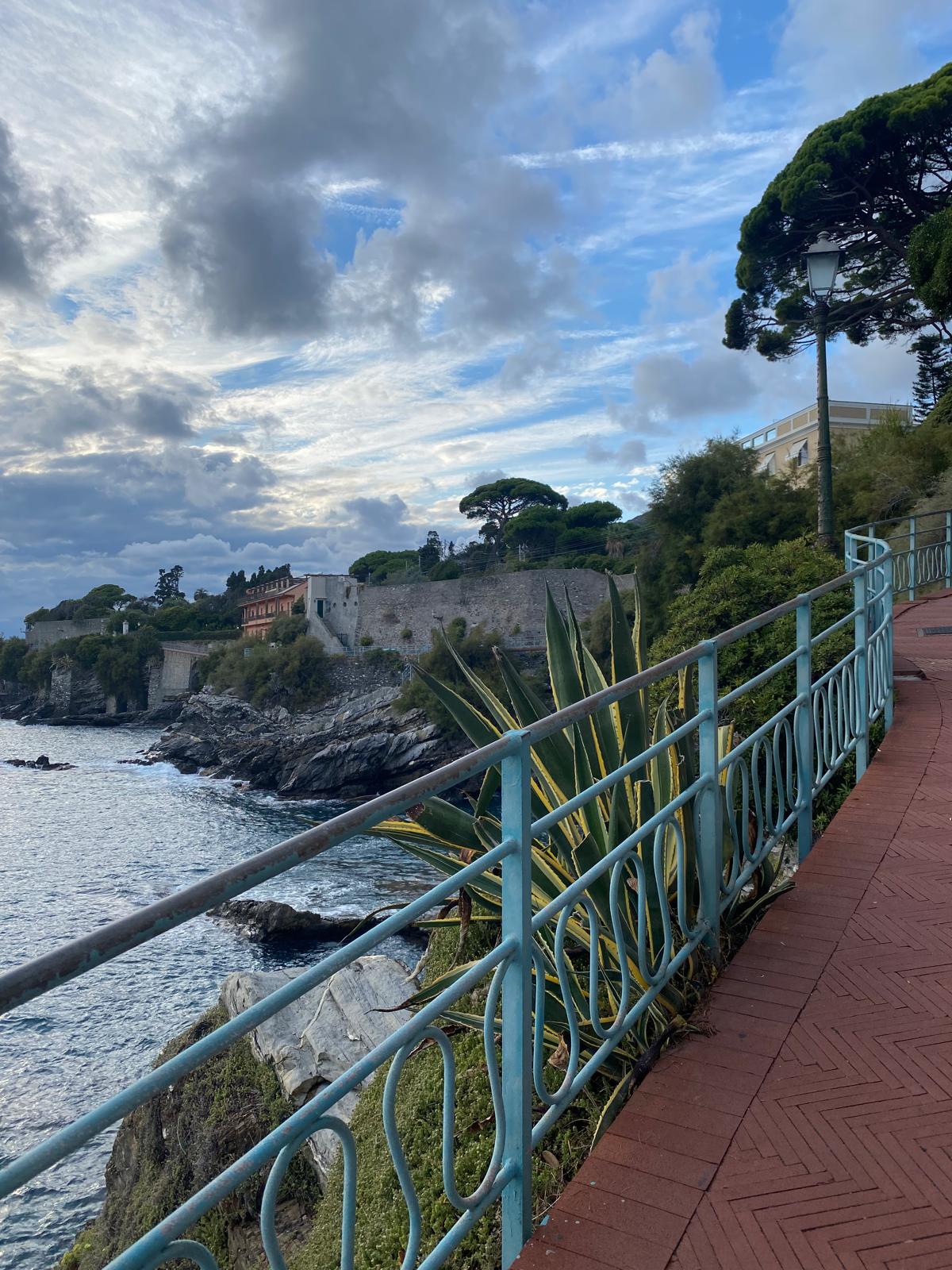 Passeggiata di nervi